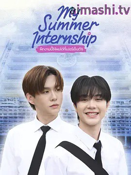 我的夏日实习