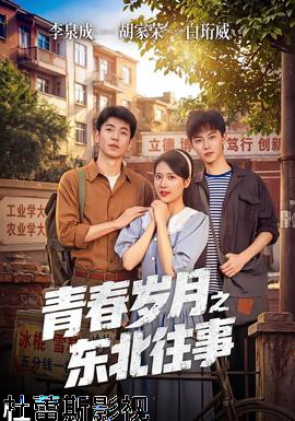 青春岁月之东北往事