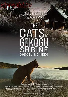 五香宫的猫