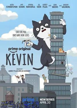 小猫凯文