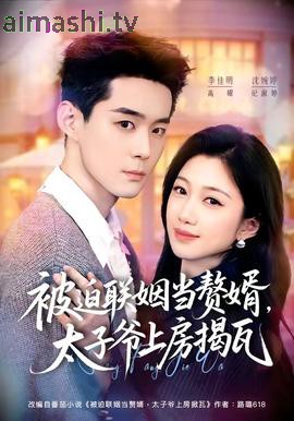 被迫联姻当赘婿，太子爷上房揭瓦
