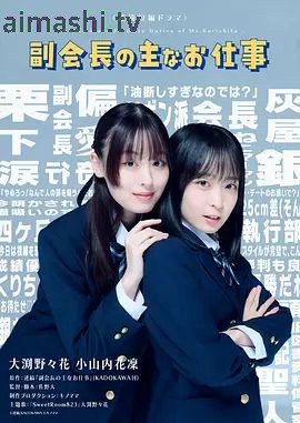 副会长的主要工作